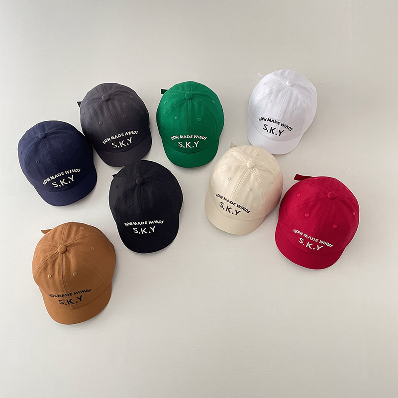 Повседневная бейсболка RAISE с – обзор и цена Embroidery Cap