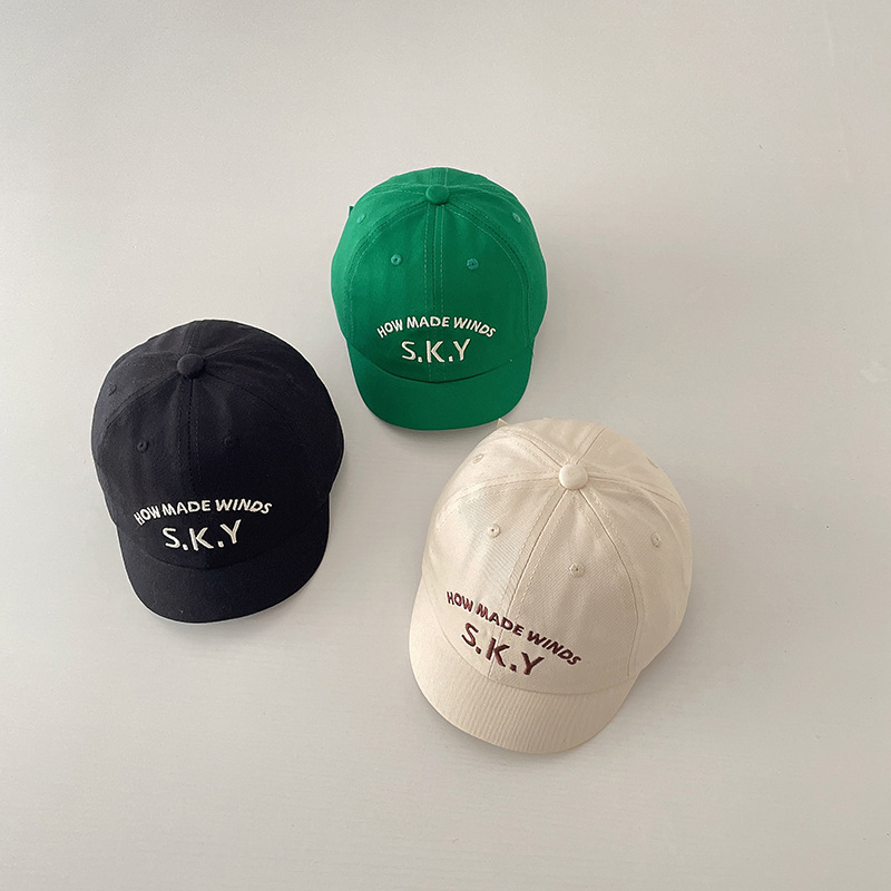 Повседневная бейсболка RAISE с – обзор и цена Embroidery Cap